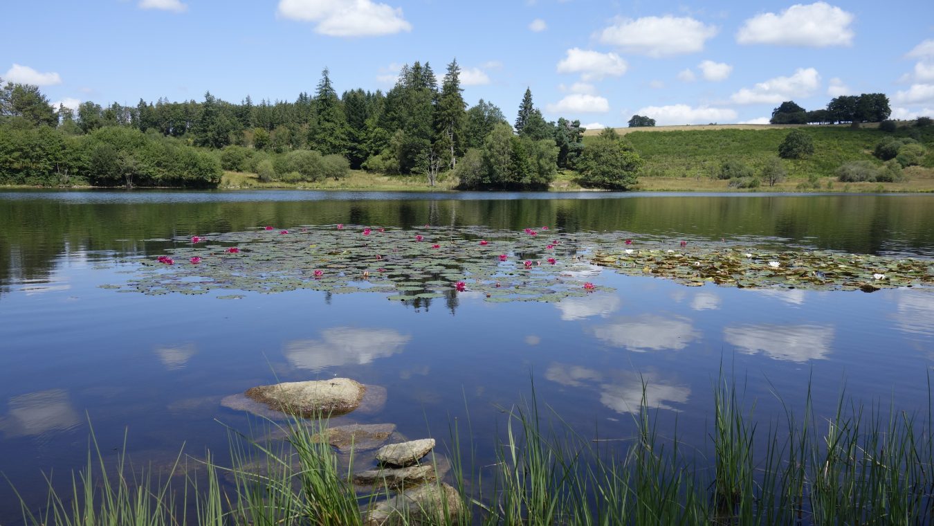 Auvergne